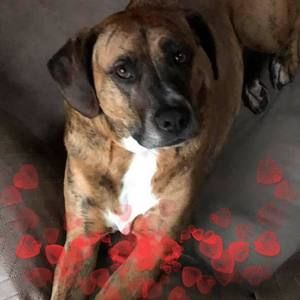 Meet your Posher, Debra